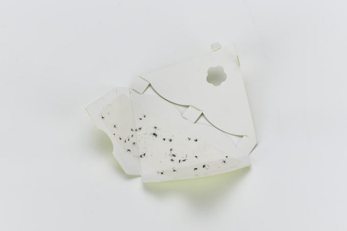 簡単に- 19.7*11cm 家庭用昆虫 粘着 窓 フライ 粘着 罠 殺人 捕捉 紙 カード 4