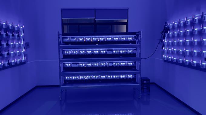電動空気の流れ 蚊殺虫器 室内UVライト LED フライング昆虫罠 USBケーブル 480時間 12